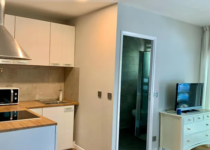 T2 Proche Des 2 Jumeaux アンダイエ